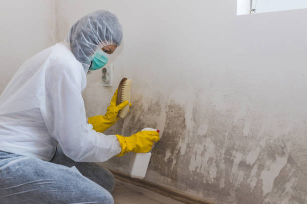 Best Bathroom Mold Remediation in Lavon, TX
