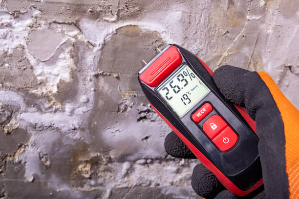 Best Commercial Mold Remediation in Lavon, TX