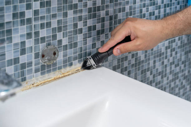Best Localized Mold Remediation (e.g., coastal areas, humid climates) in Lavon, TX